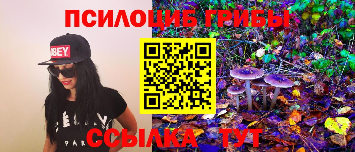 Борзя  Псилоцибиновые грибы Psilocybine cubensis  Вход с VPN 