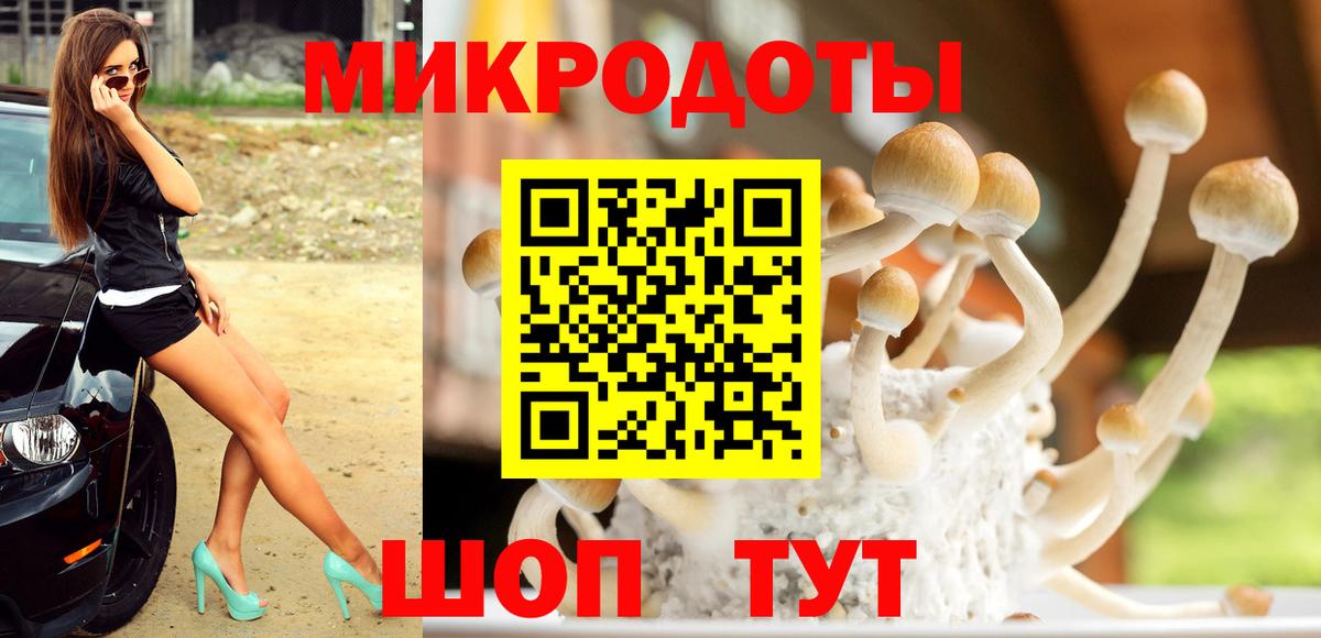 Галлюциногенные грибы Psilocybine cubensis Борзя